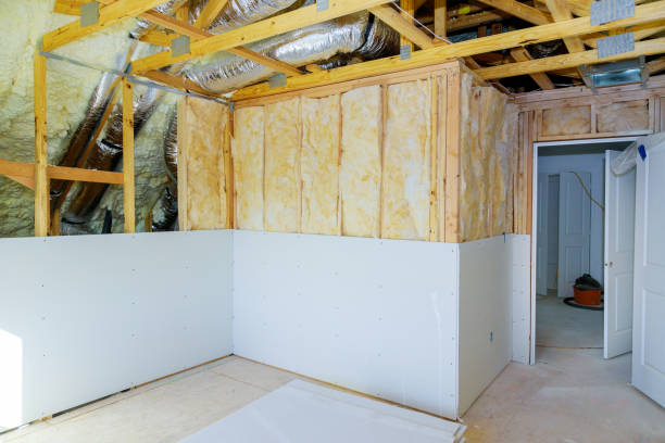 Best Professional Insulation Contractor  in Beaufort, SC